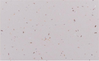 石英石廠家：如何辨別優質的石英石制品制造商？