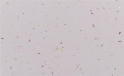 石英石廚房臺面有何優勢？