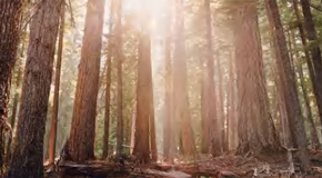 綠色環保 呵護健康  